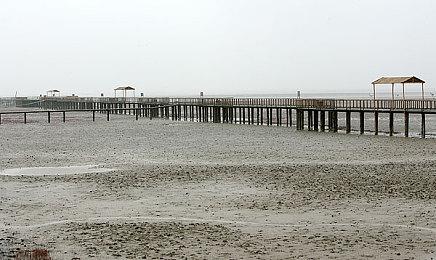 《NBA 2K22》推出全新MySTAFF模式 掌控全局